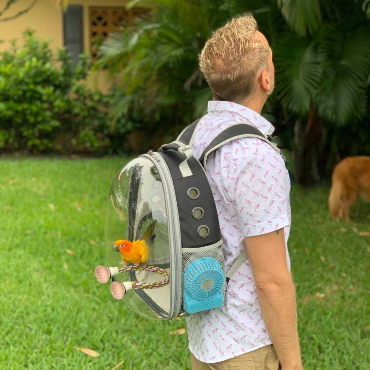 Bird Carrier Backpack with Stainless Steel Tray and Standing Perch X8042