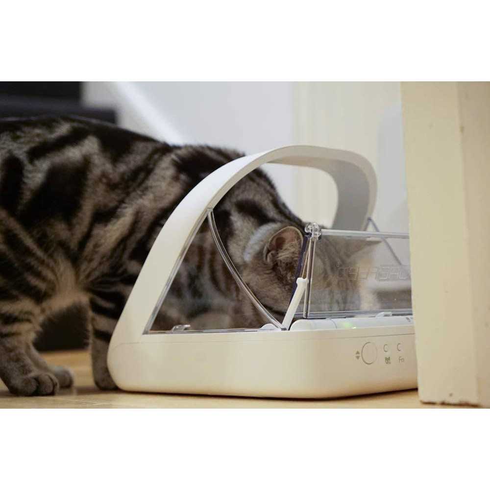 Microchip Pet Feeder X19592