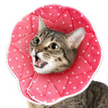Sungrow Soft e Collar for Small Dogs &amp; Cats After Surgery Recovery Cone to Stop Licking - Pet Supplies online store