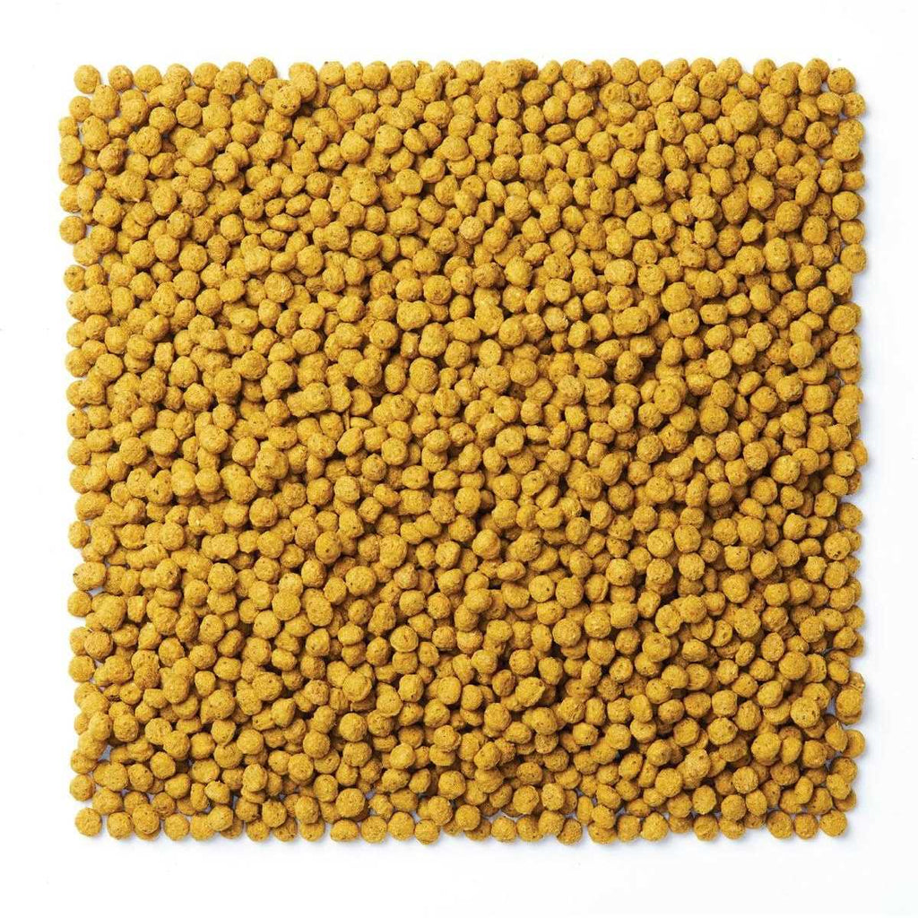 Pigeon Feed 50 lb bag I96862