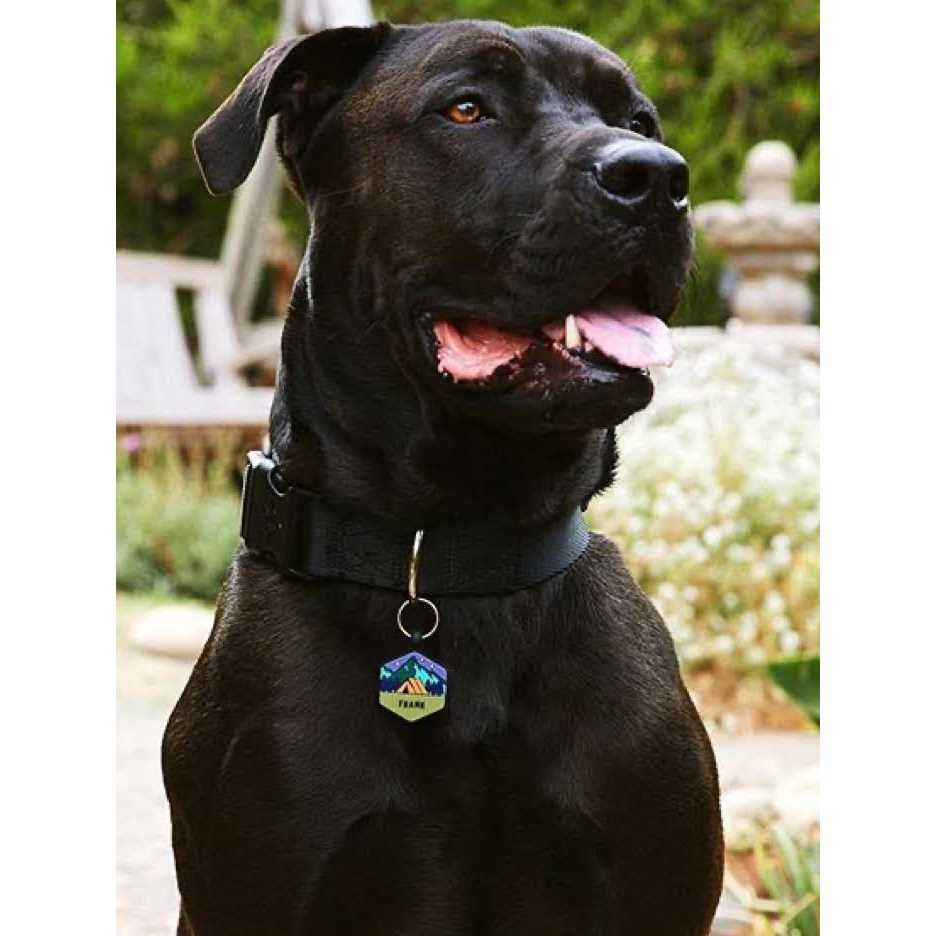 Silicone Dog ID Tag Y9962