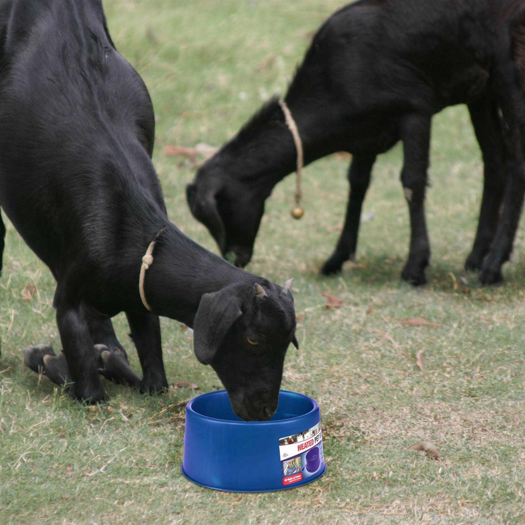Heated Plastic Pet Bowl 6 Qt. L650