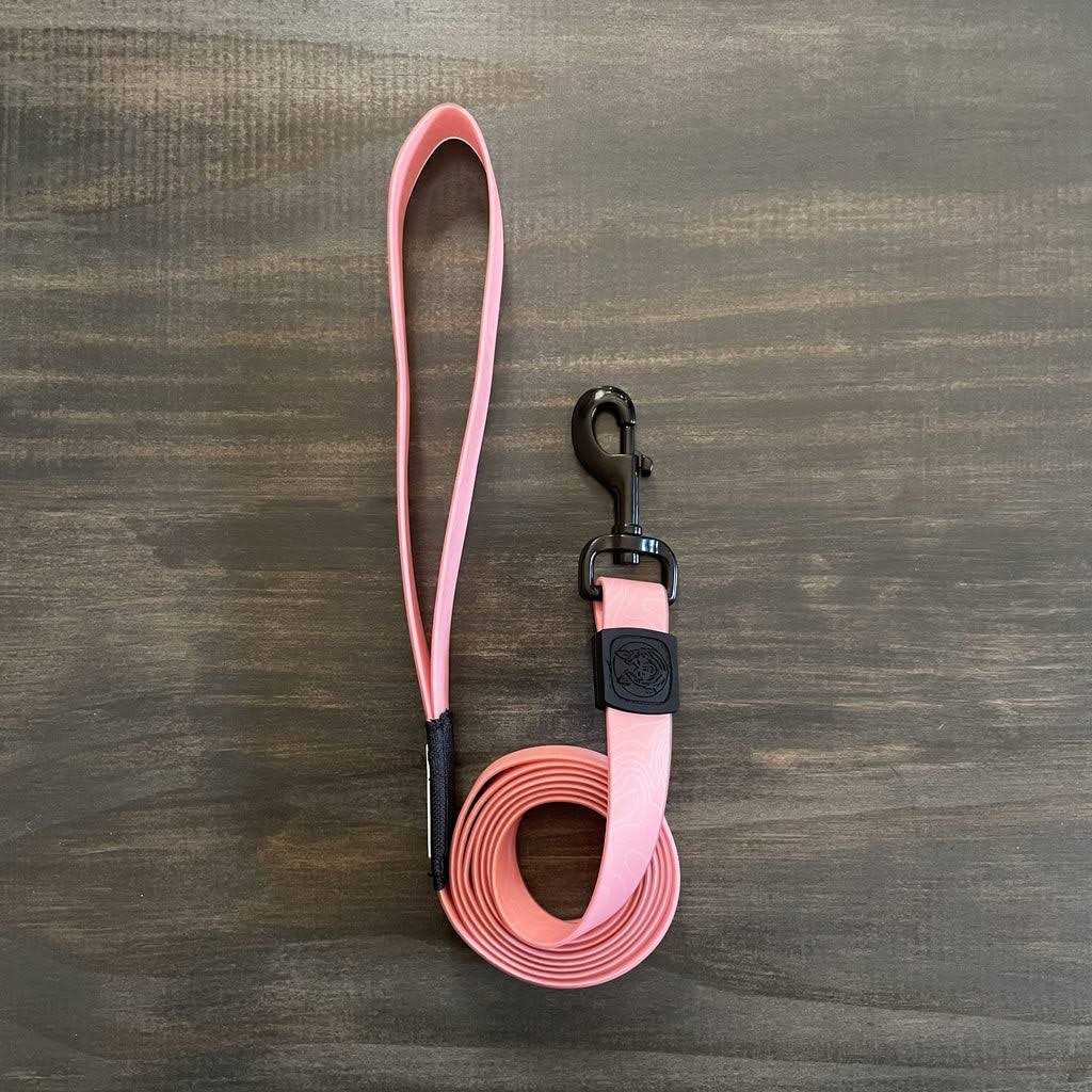 Waterproof Dog Leash F312482
