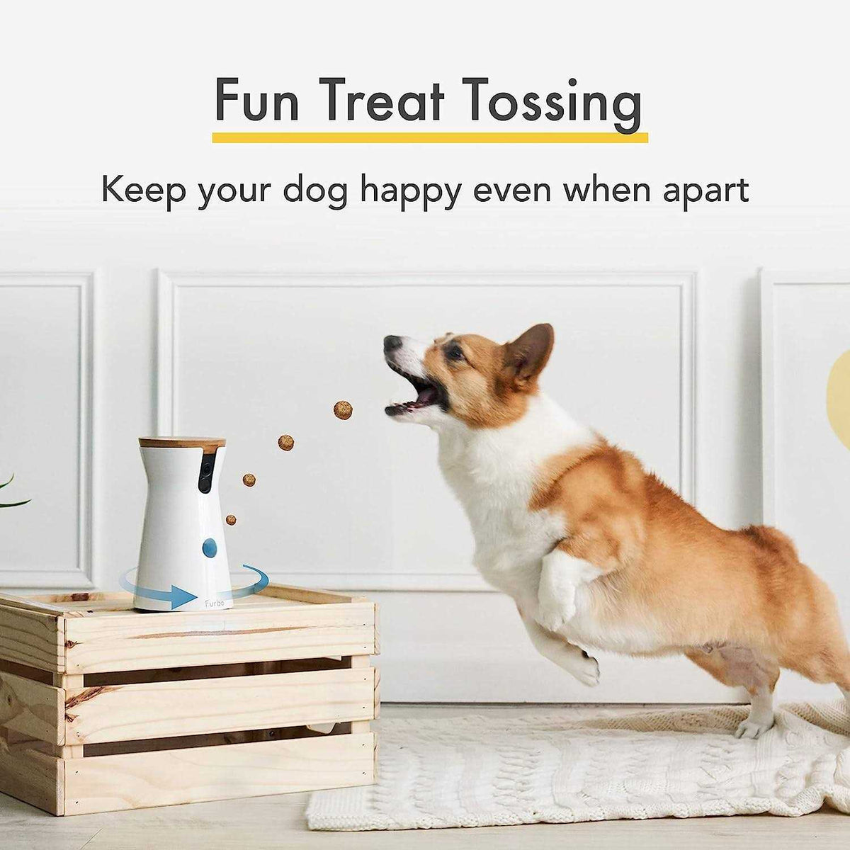 360° Rotating Dog Camera with Wide-Angle View A209256
