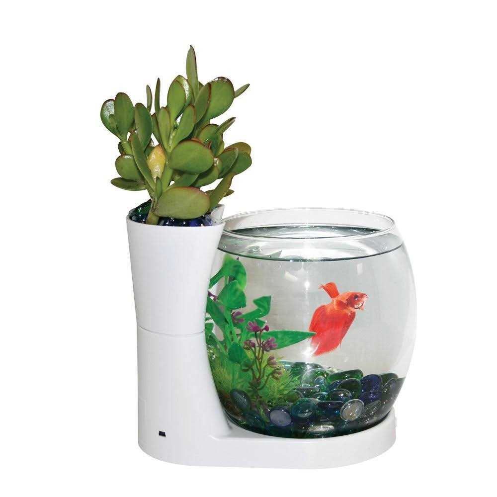 Betta Fish Bowl with Planter M99448