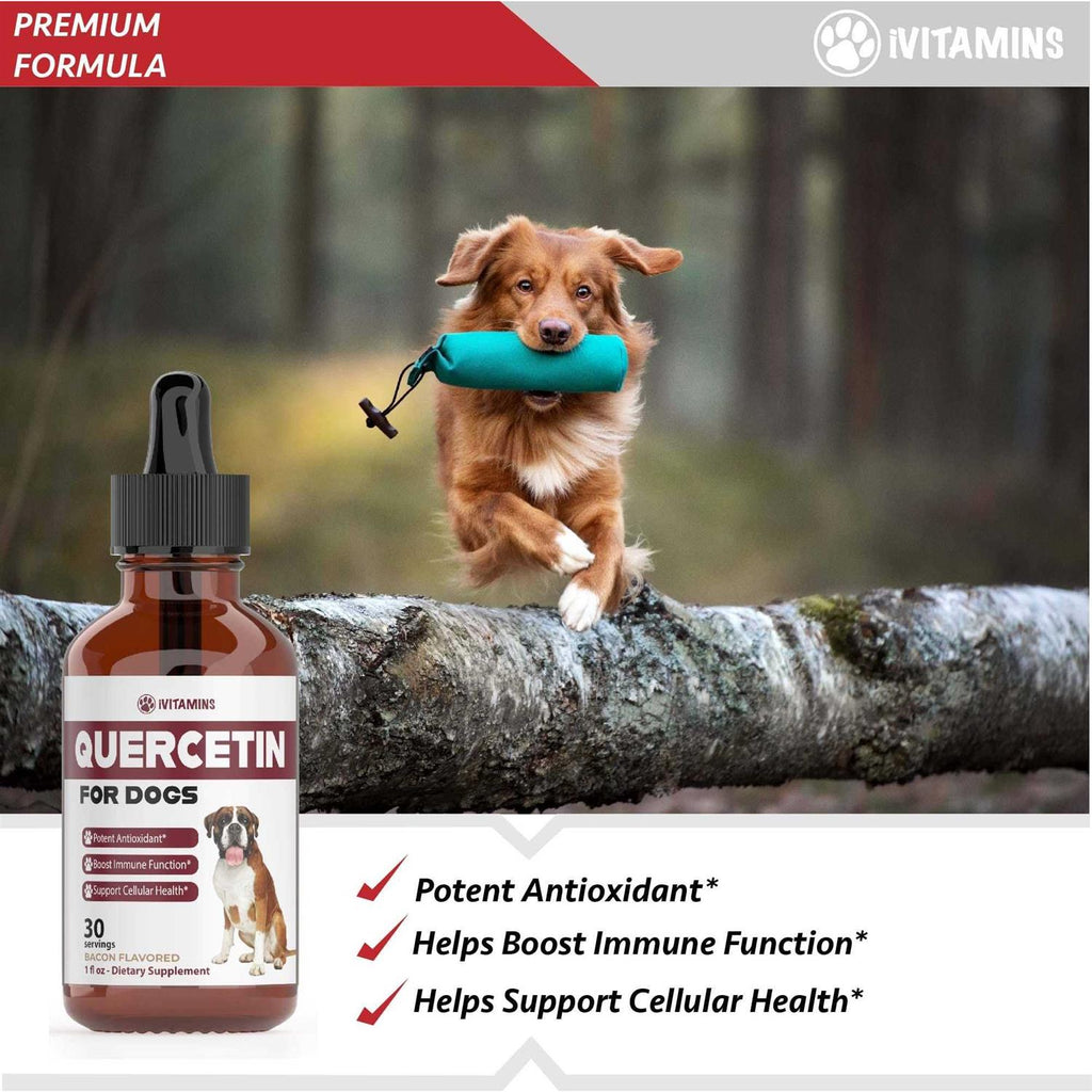 Quercetin for Dogs Allergy Relief Supplement X81158