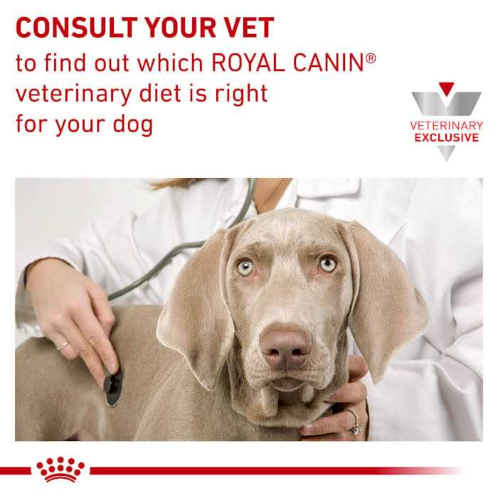 Veterinary Diet Hepatic Canned Dog Food D1792