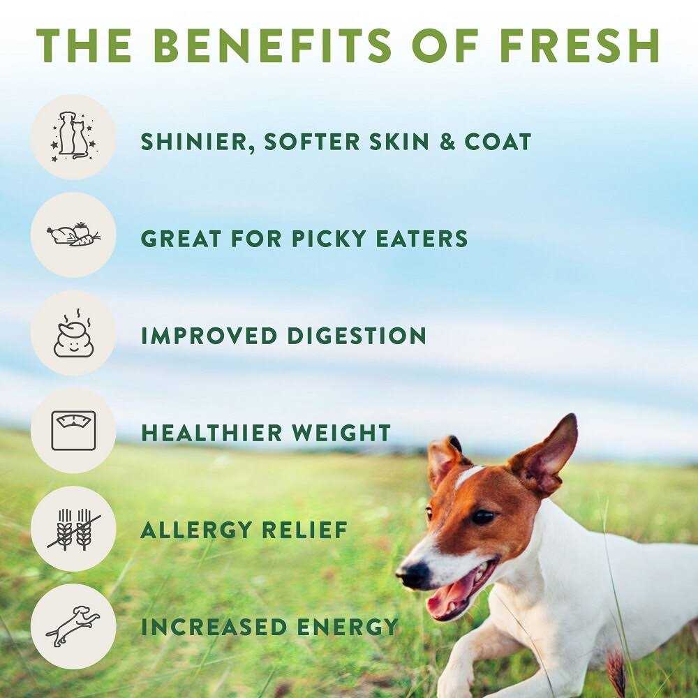 Grain Free Chicken Recipe Slice & Serve Roll Dog Food K323
