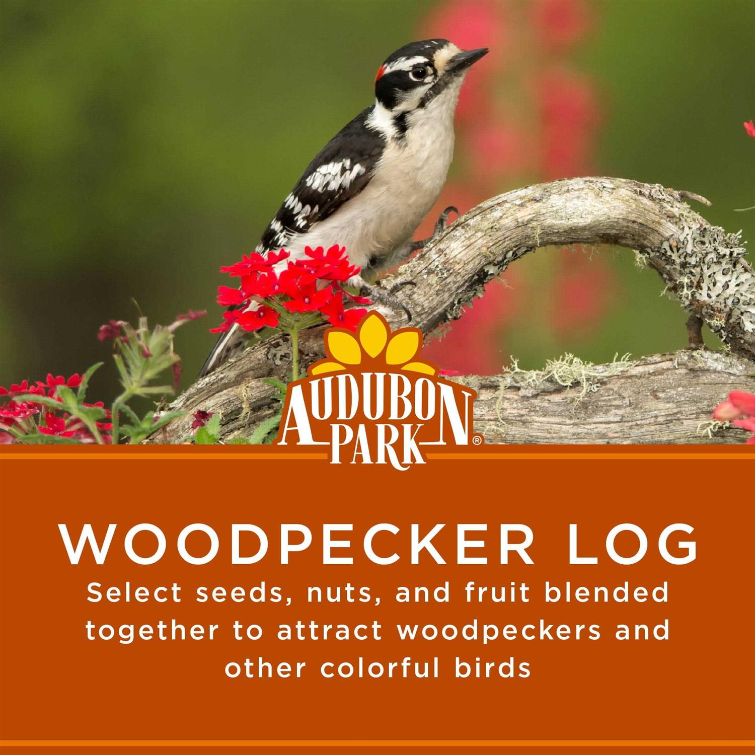 Woodpecker Snack Log Wild Bird Feed X273