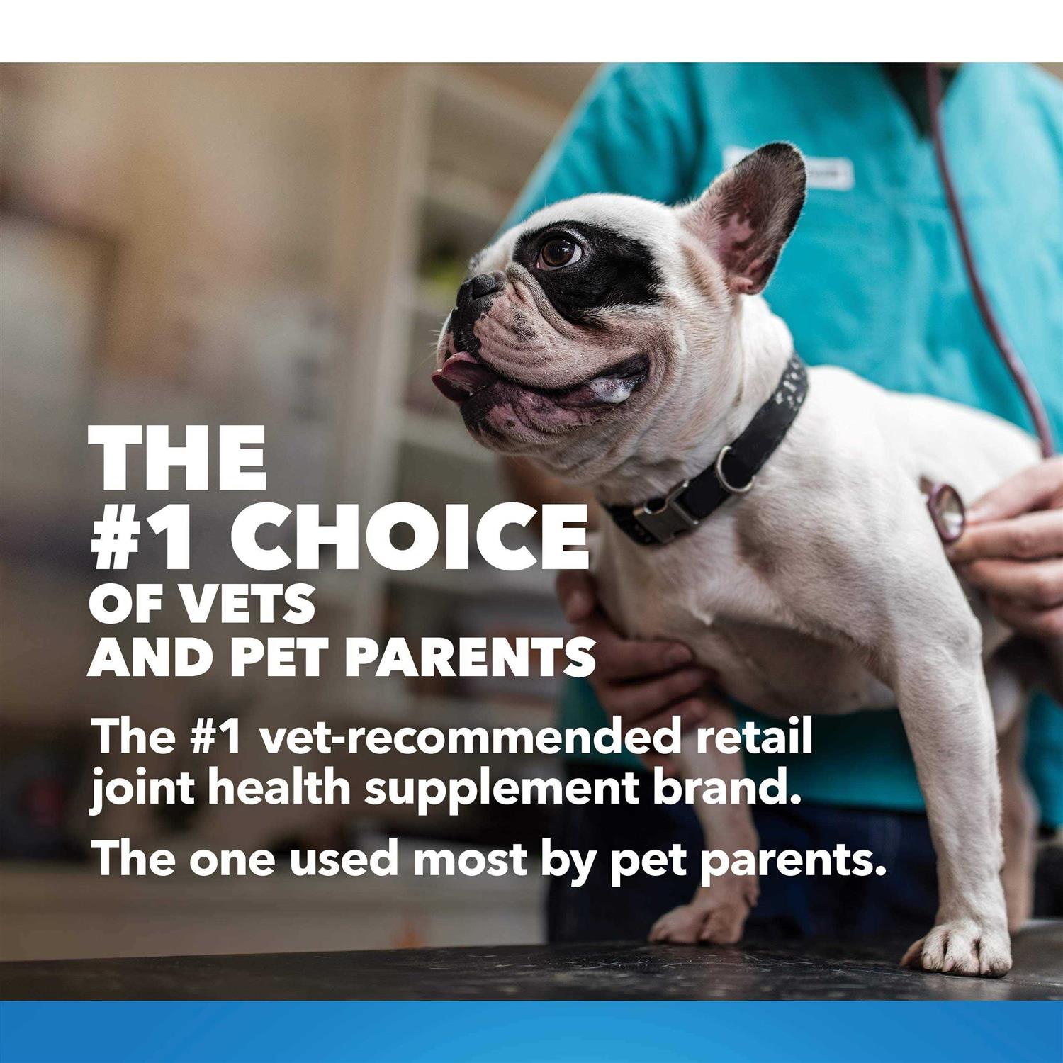 Joint Support Supplement with MSM and HA for Dogs D953