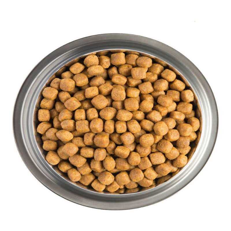 CardioCare Canine Formula V711