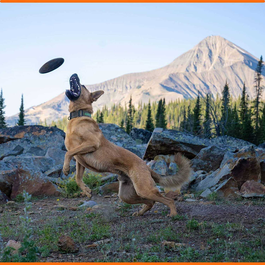 Dog Toy Flying Disc O597