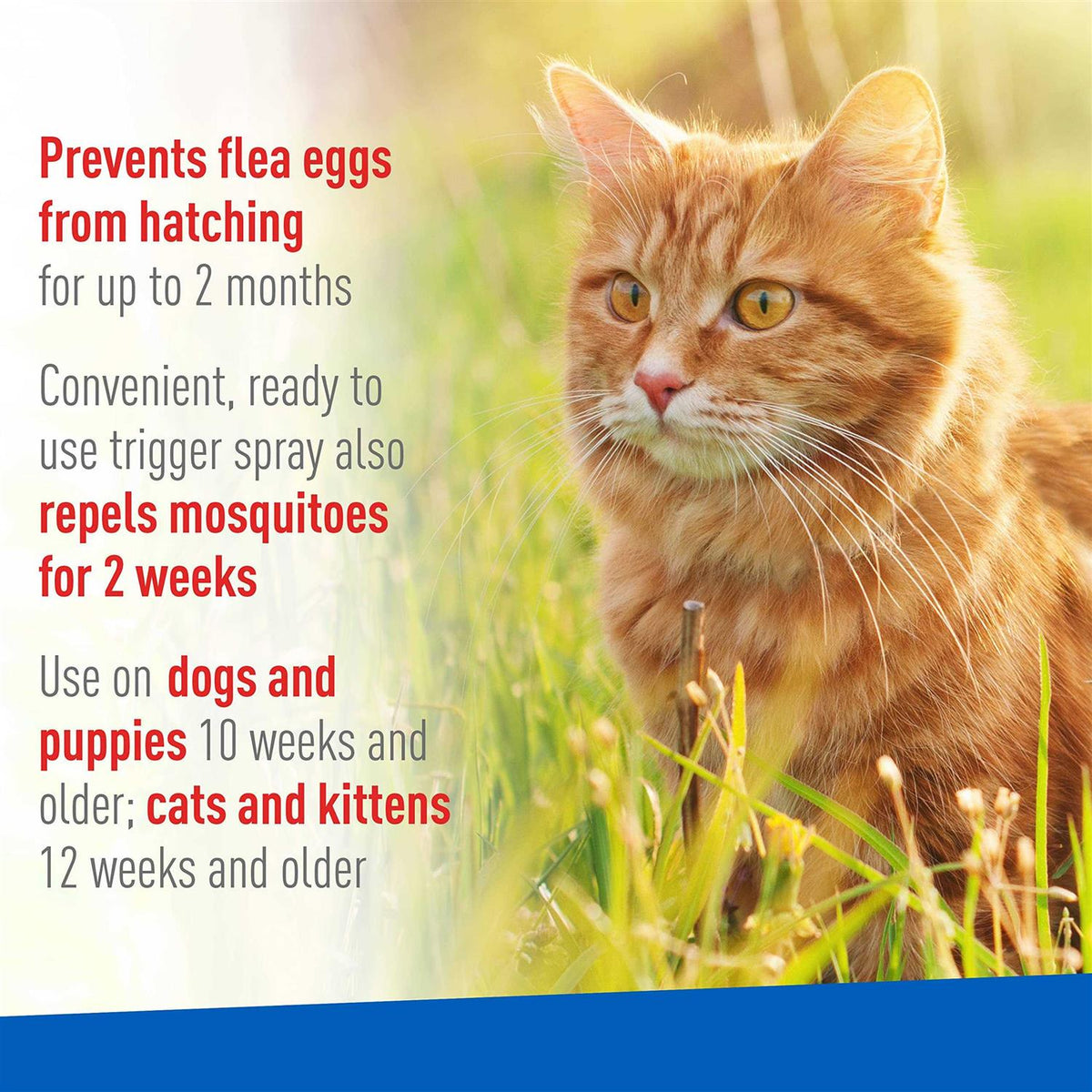 Flea and Tick Spray for Pets R443