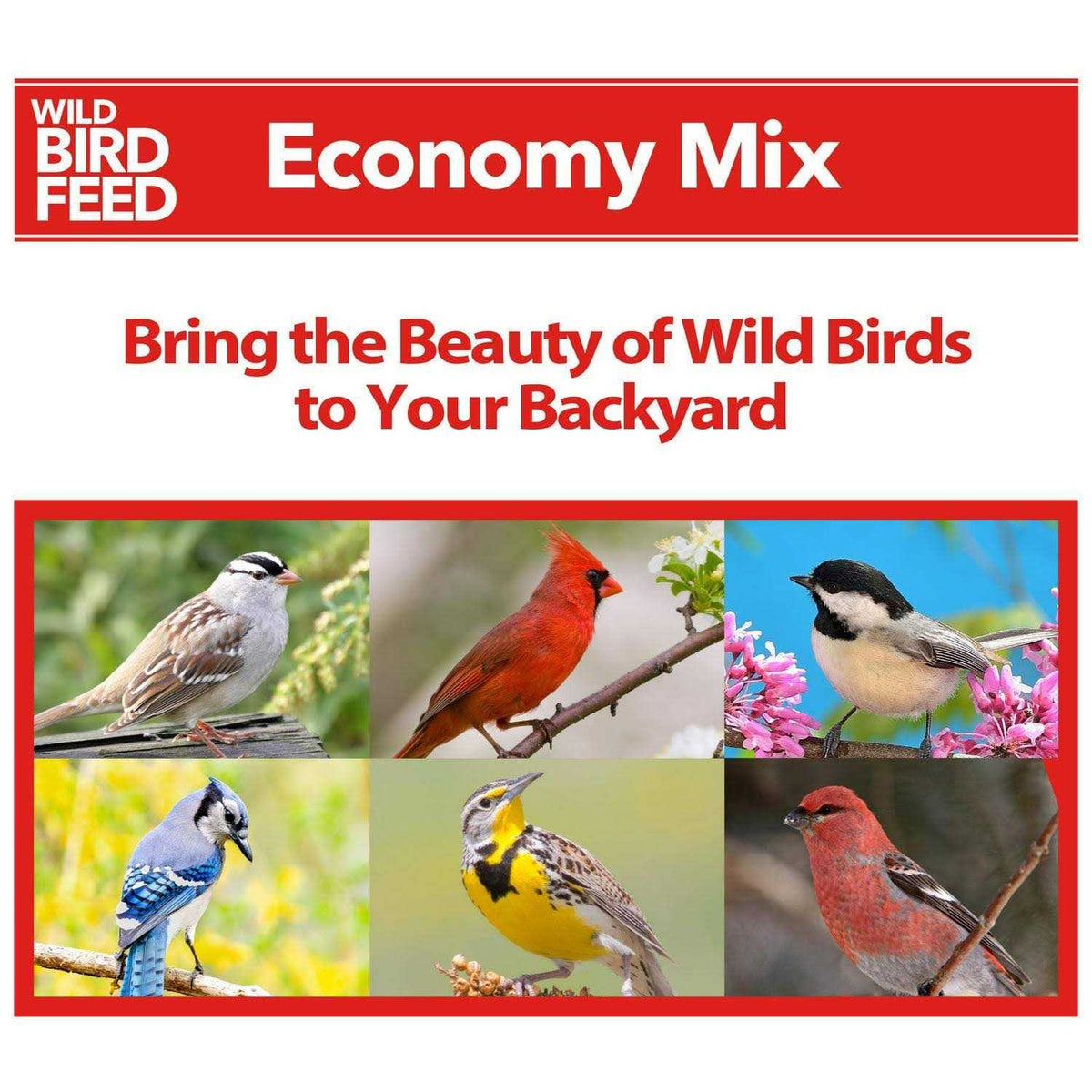 Economy Mix Wild Bird Feed T5510