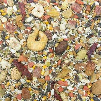Conure Food R879160