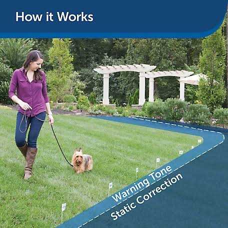 Stubborn Dog Receiver Collar Z504020