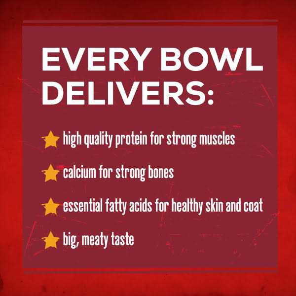 Savory Beef Dry Dog Food V3675
