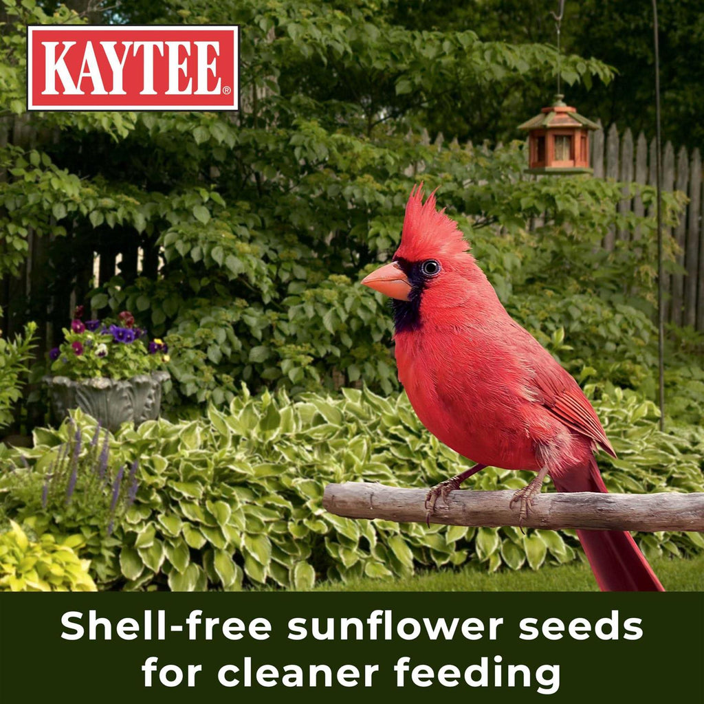 Nut & Fruit Blend Wild Bird Food K64369