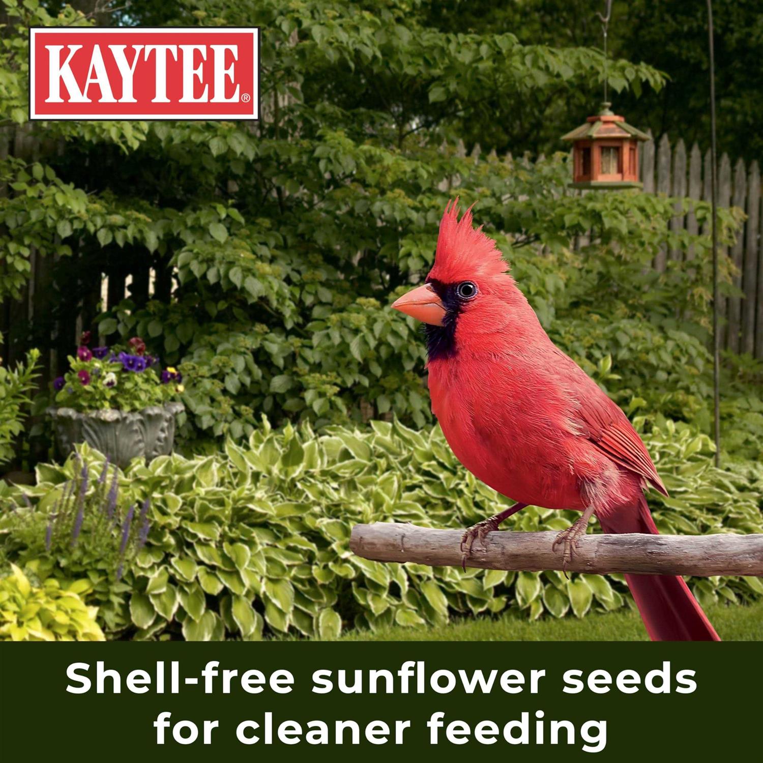 Nut & Fruit Blend Wild Bird Food K64369