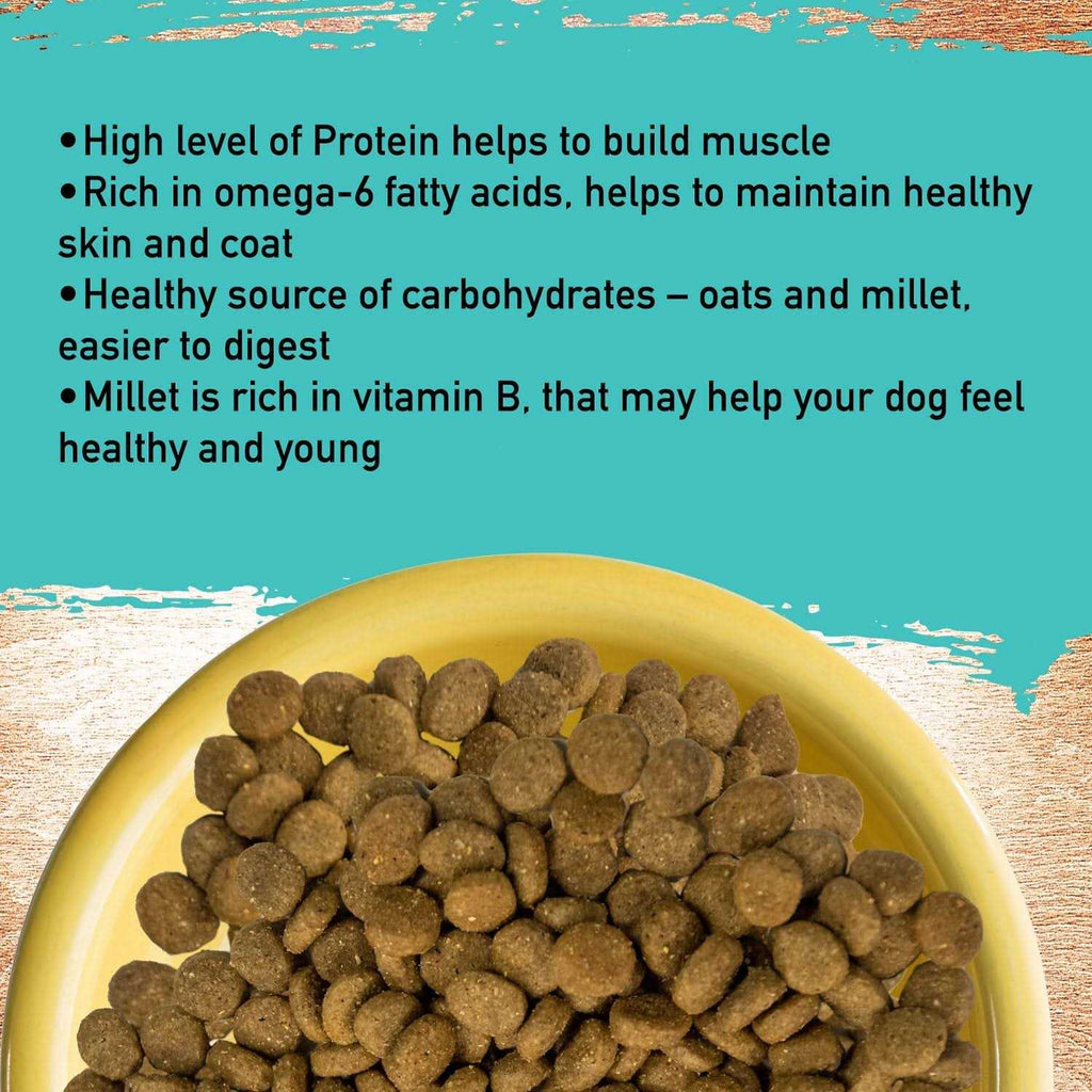 Dog Food P38941
