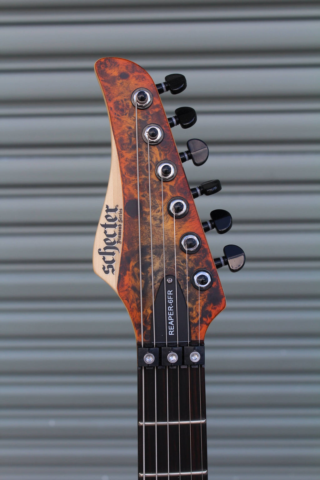 Reaper-6 FR Electric Guitar P389594