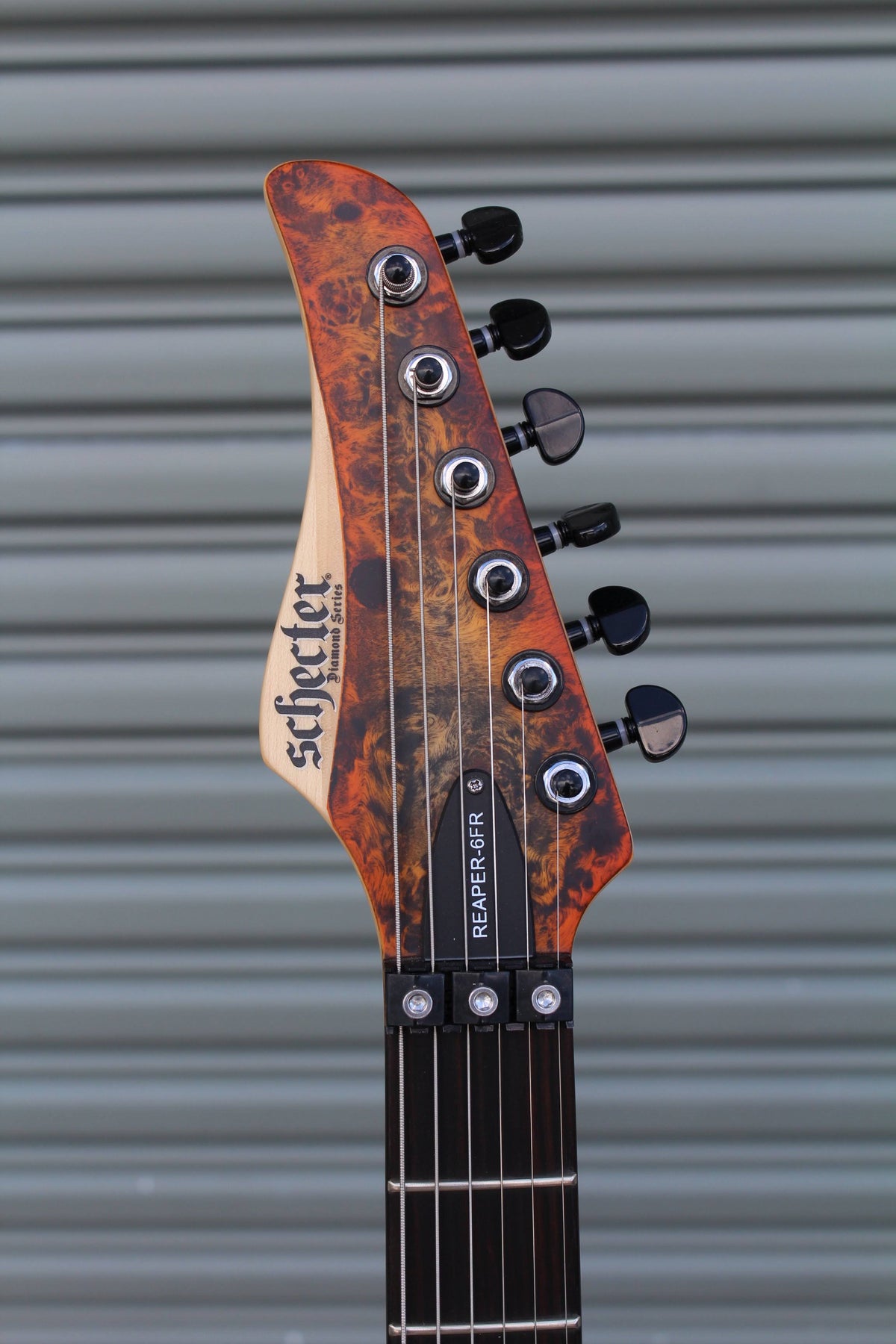 Reaper-6 FR Electric Guitar P389594
