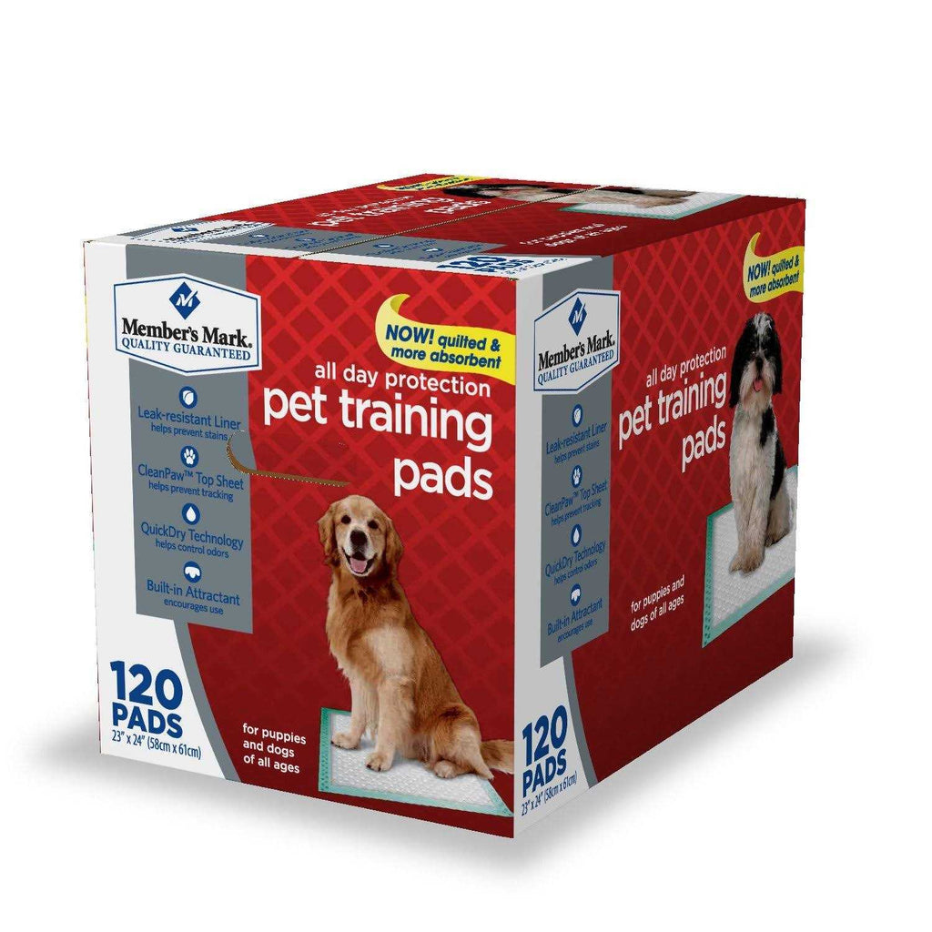 Pet Training Pads B5836
