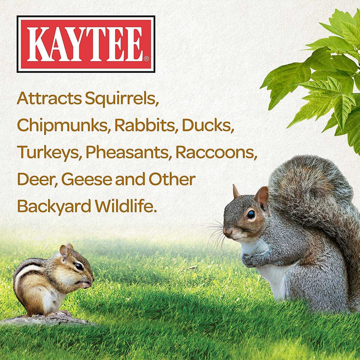 Squirrel Critter Food Q773