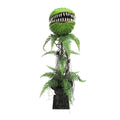 Ashland 4& Venus Flytrap - Each