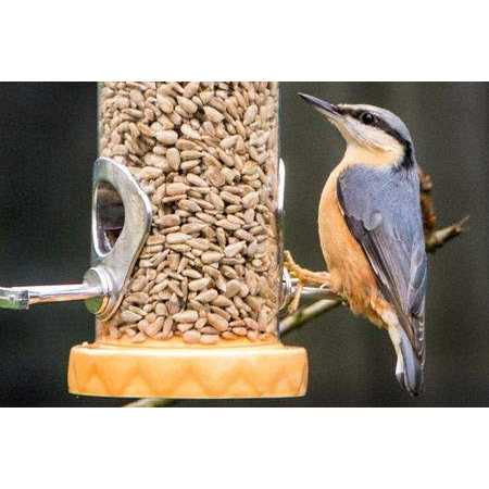 Sunflower Coarse Hearts Bird Seed O6422