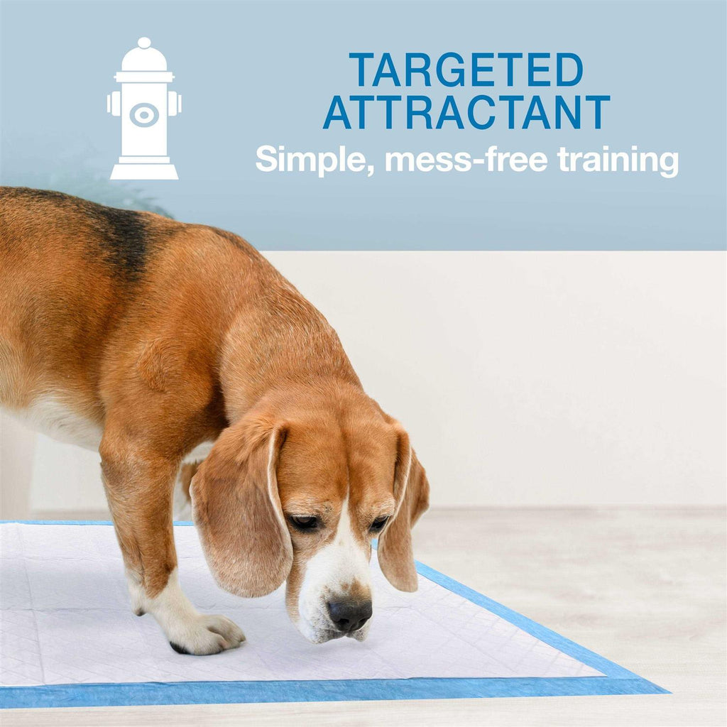 Pet Training Pads L5280