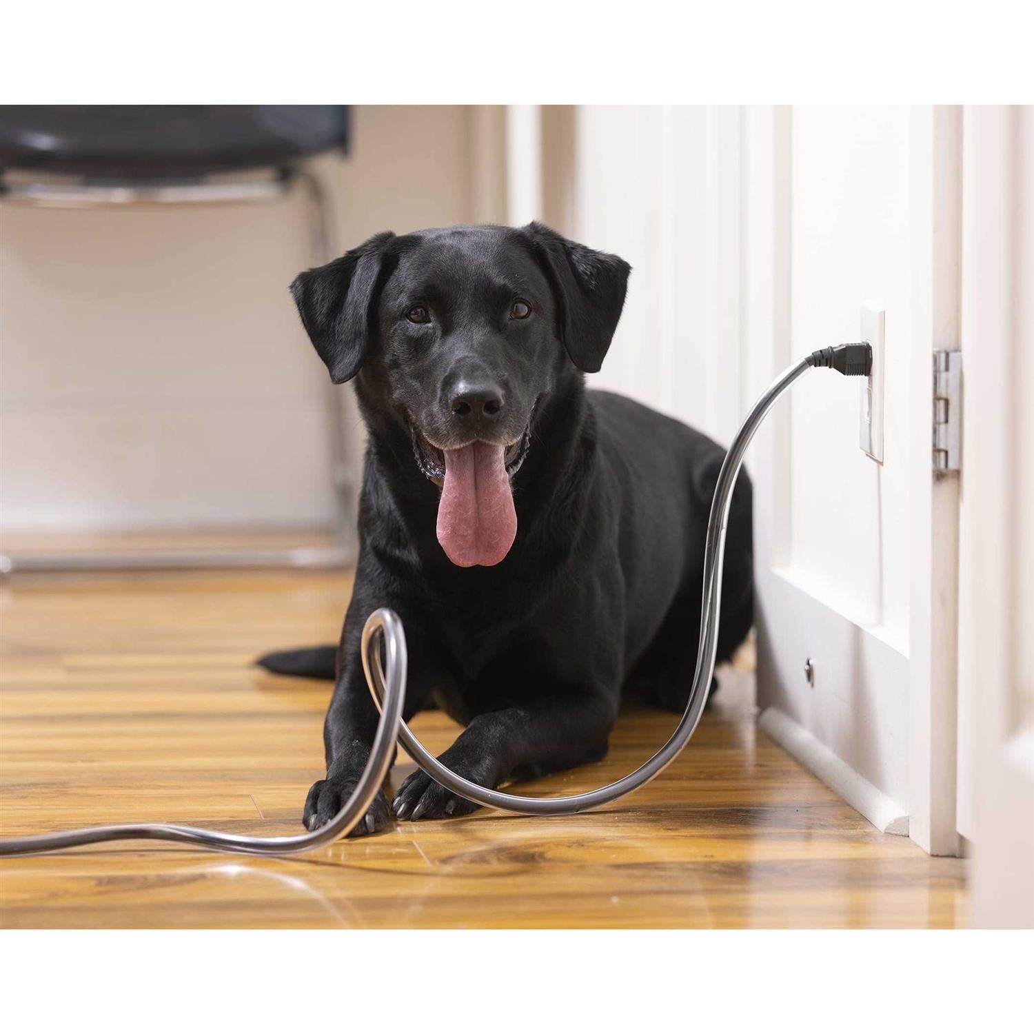 20 ft. Dog & Cat Cord Pet Protector J32158