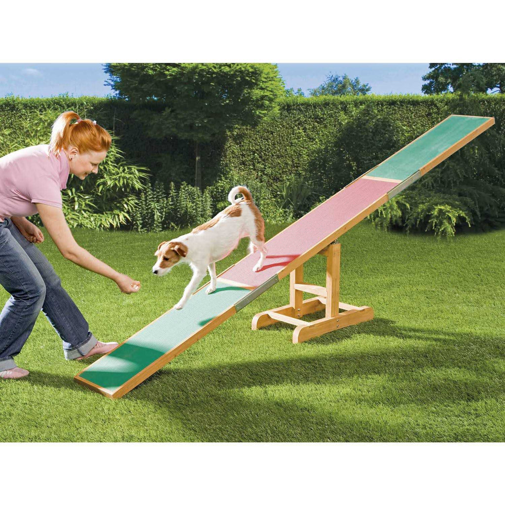 Agility Dog Training Seesaw H228797
