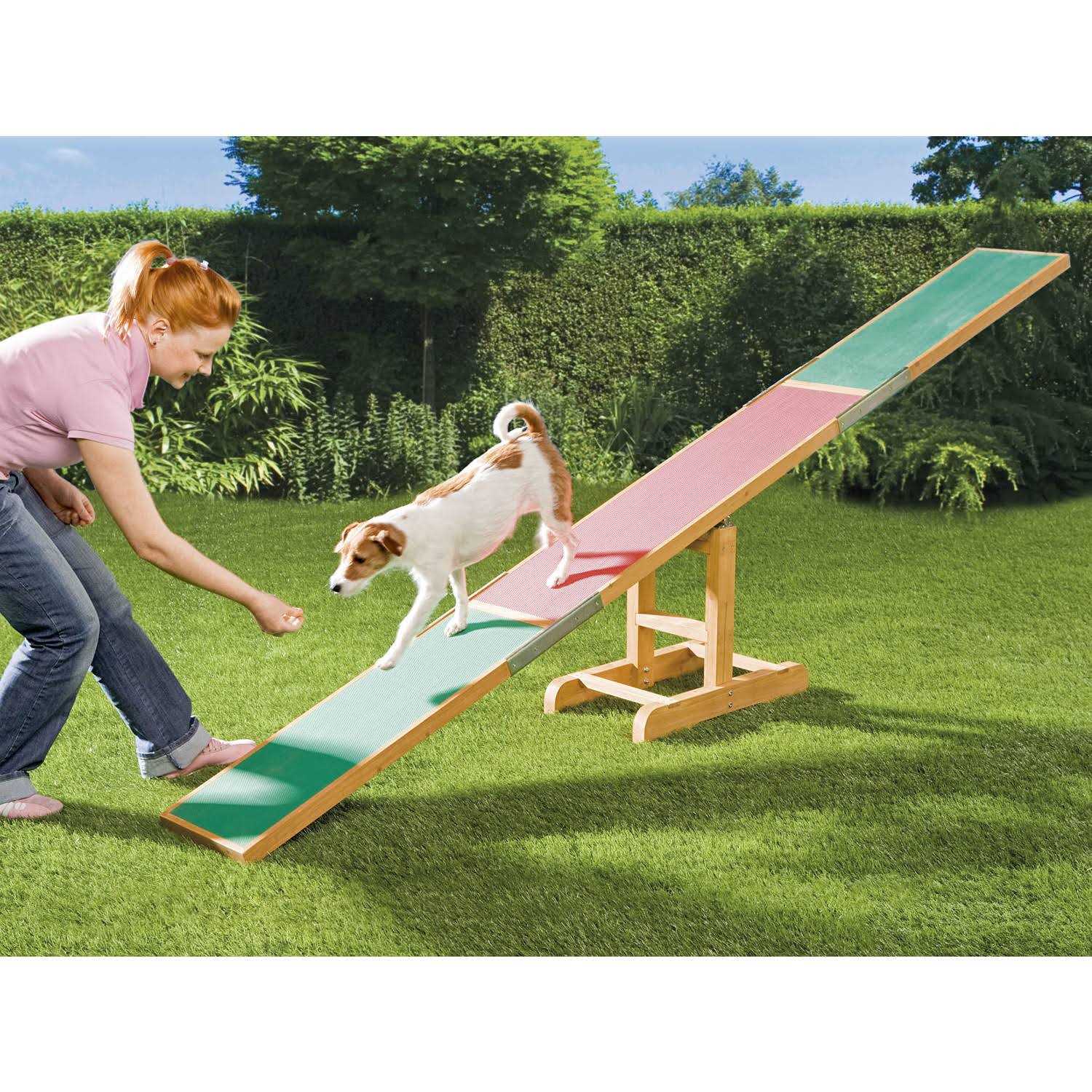 Agility Dog Training Seesaw H228797