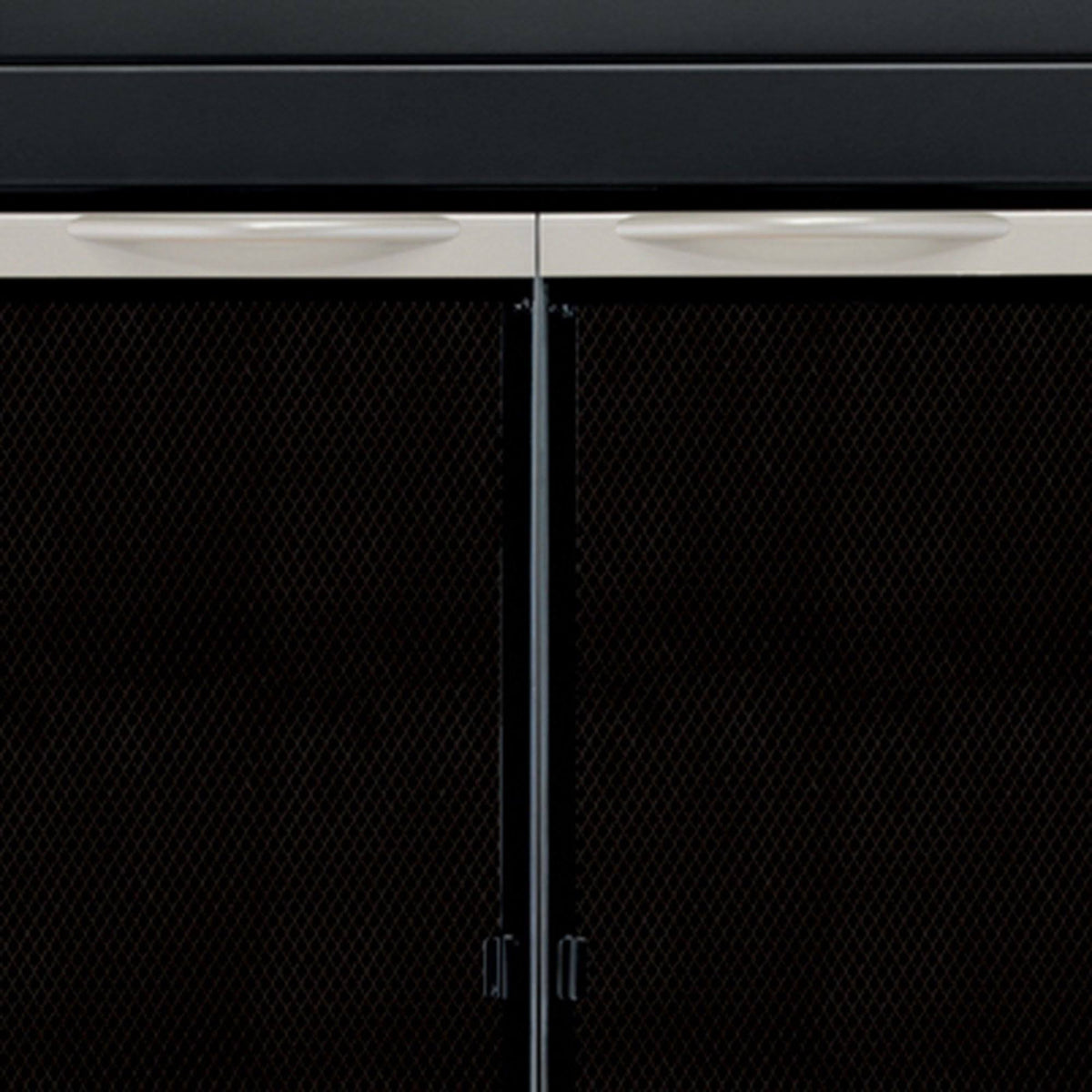 Fireplace Glass Door, Black, Small J4053
