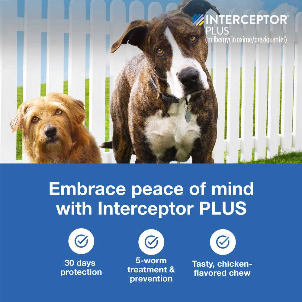 Interceptor Plus for Dogs A280707