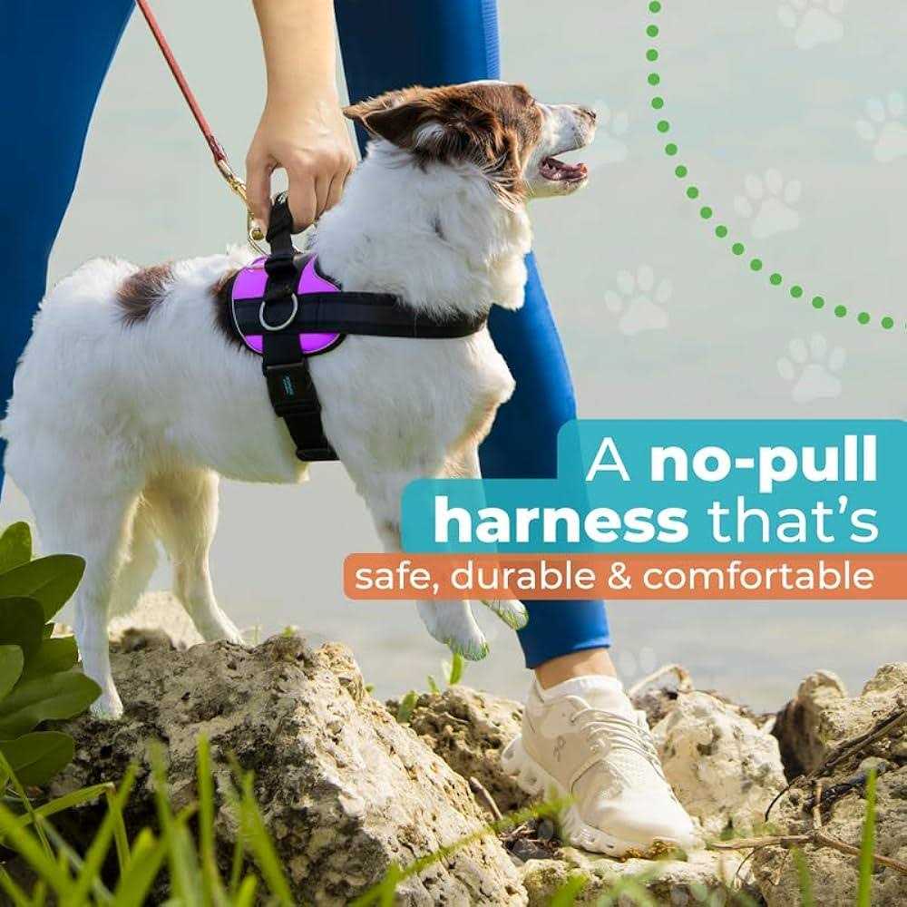 No Pull Easy On-Off Dog Harness M183686