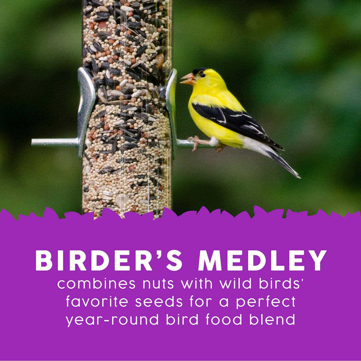 Birder's Medley Wild Bird Food V7516