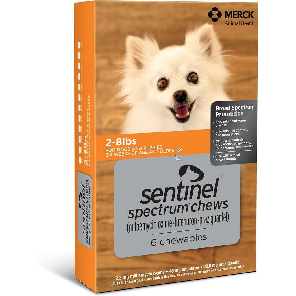Pet Supplies for Dogs B937911