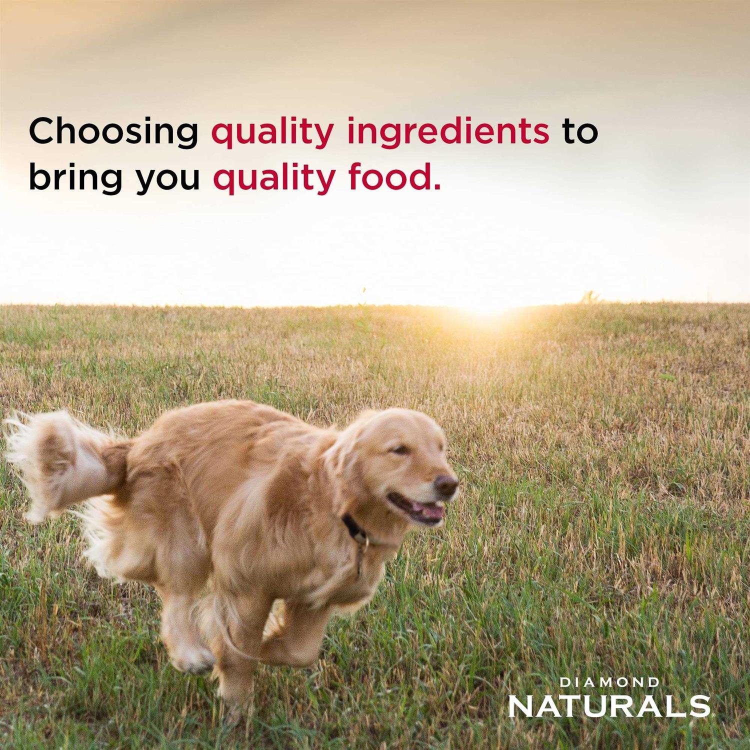 Senior Dry Dog Food A6438