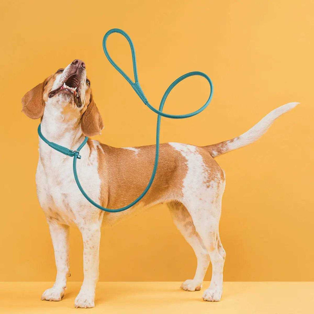 Leather Round Slip Lead for Dogs N601