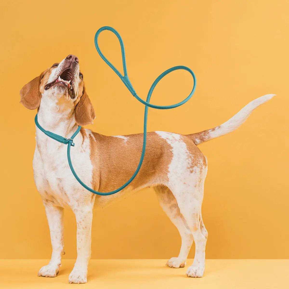 Leather Round Slip Lead for Dogs N601