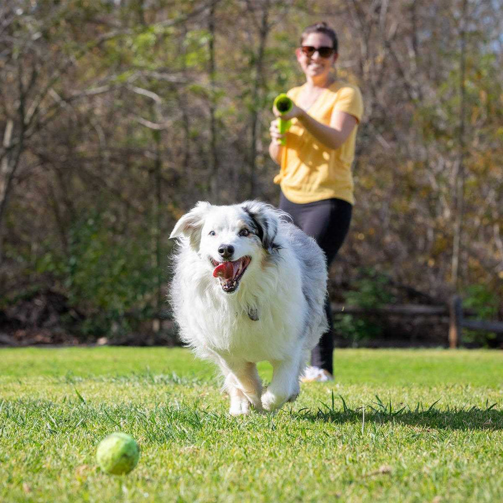 Dog Ball Launcher P942