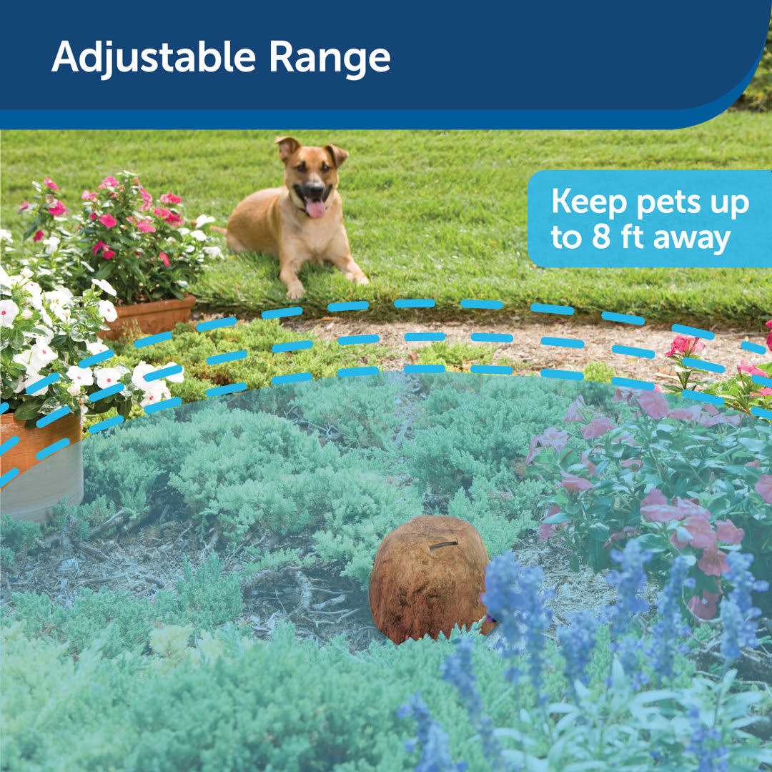 Outdoor Pet Barrier J918239