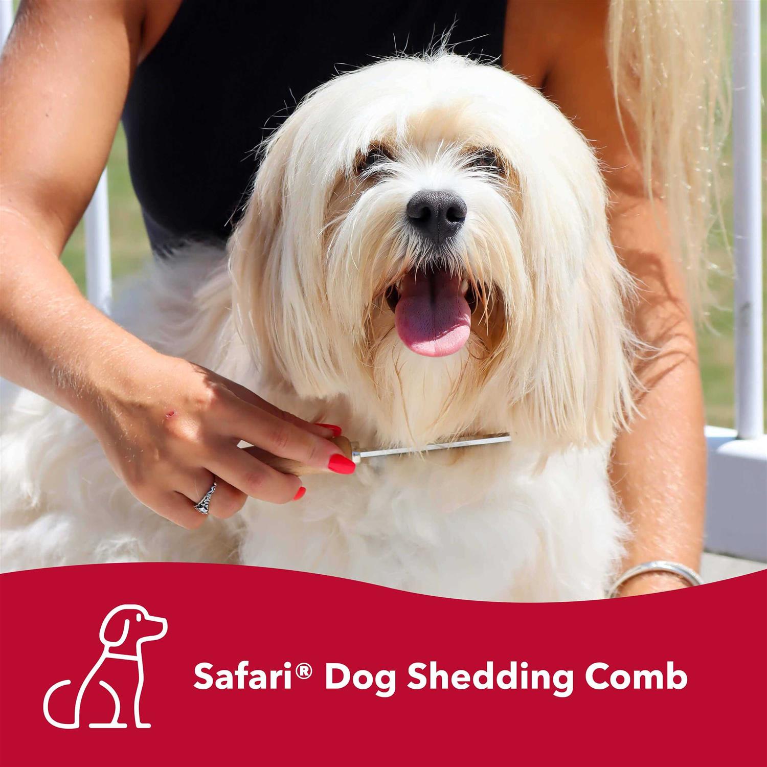 Dog Shedding Comb V974090