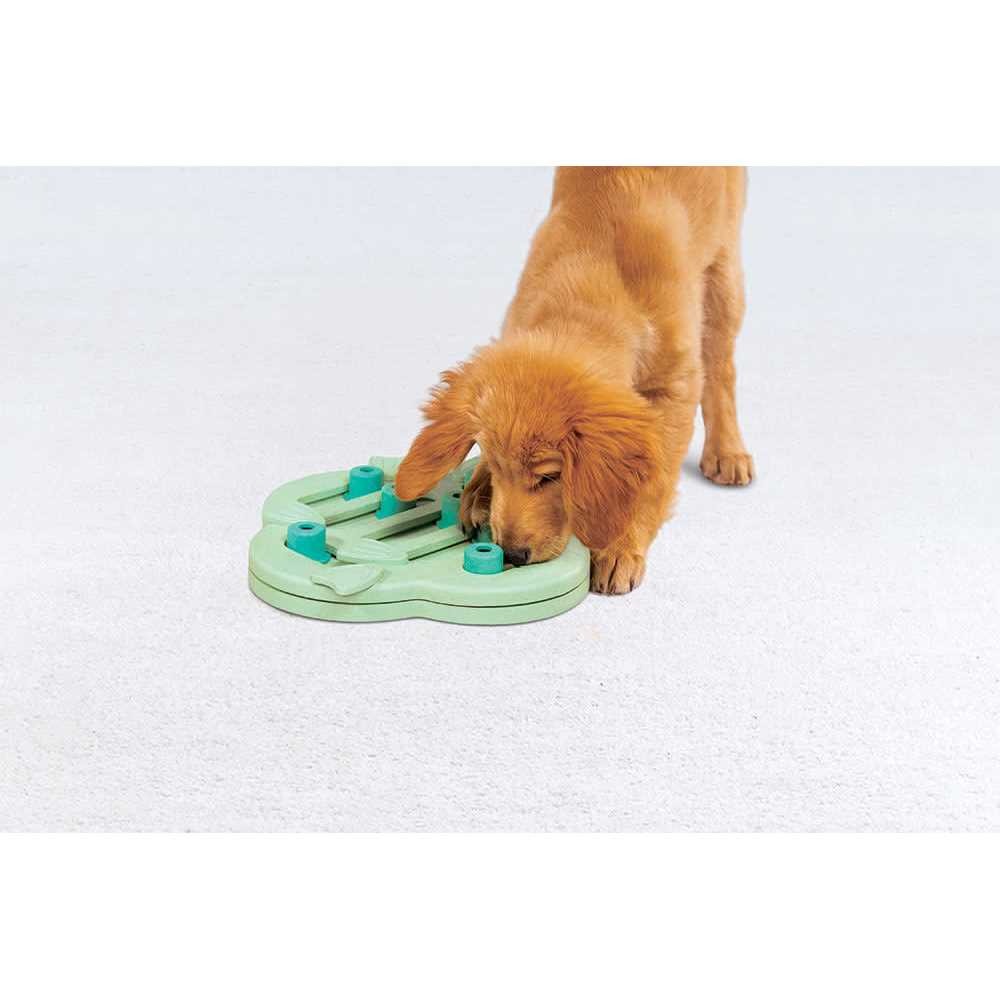 Interactive Treat Puzzle Dog Toy F747