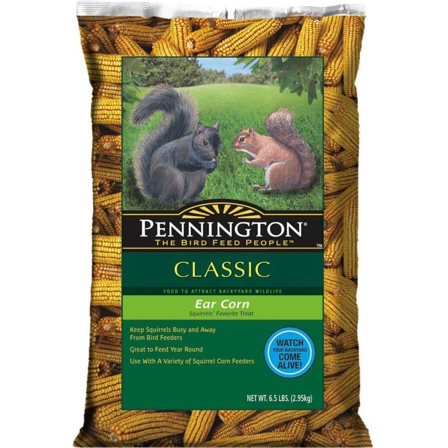 Whole Ear Corn Squirrel and Critter Feed G63449