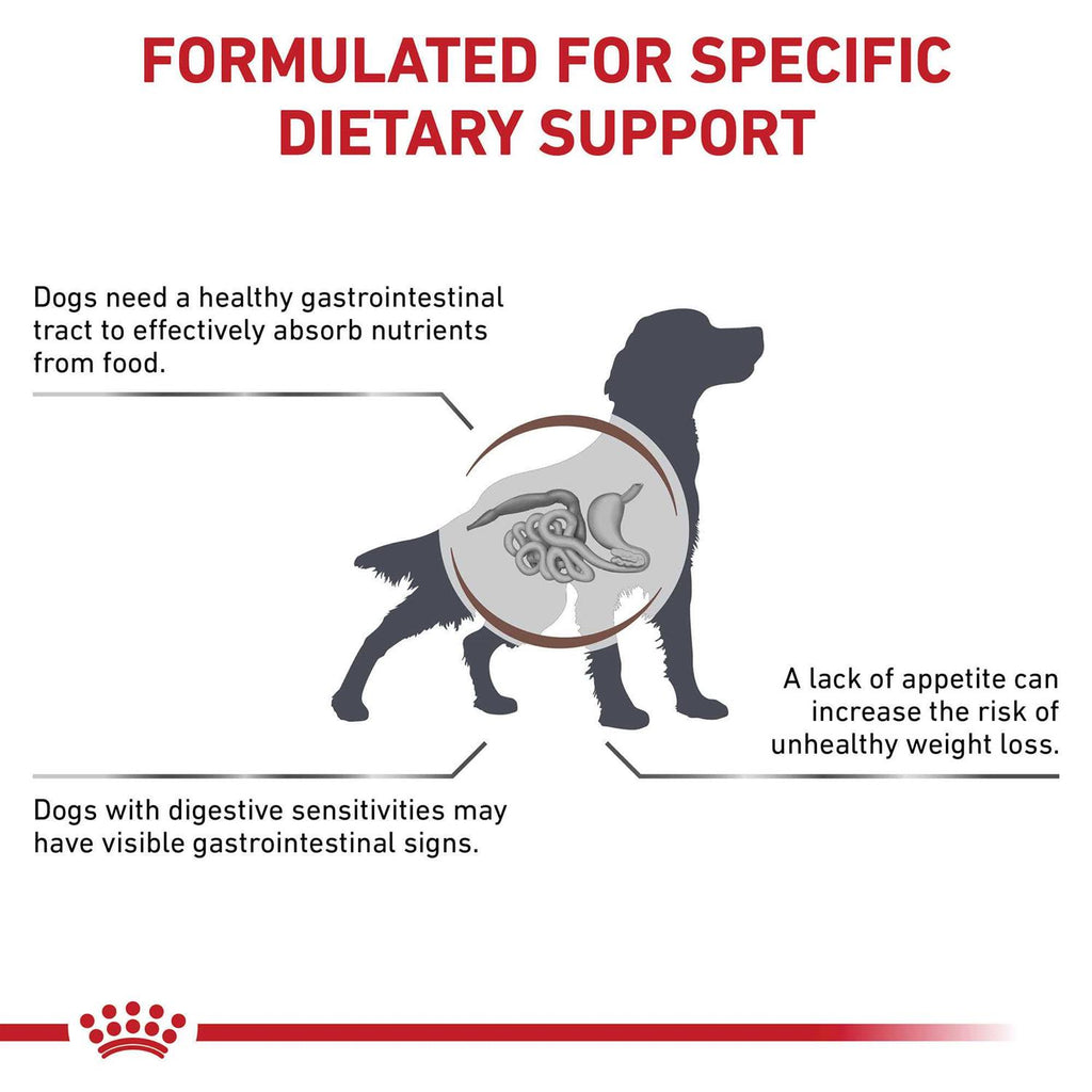 Gastrointestinal Dry Dog Food B9520