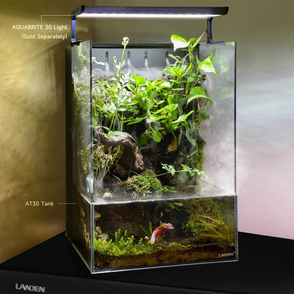 All-in-One Terrarium Paludarium with Light, Water Pump, and Mat C29201