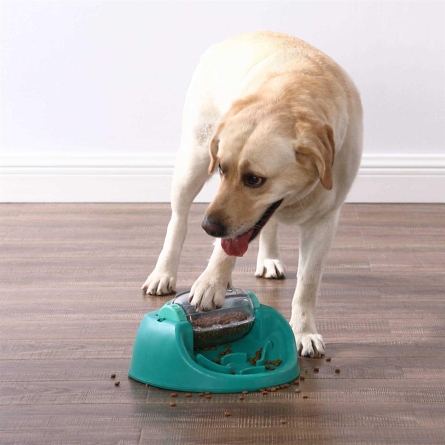 Spin N Eat Puzzle Dog Toy J66973